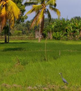 icone projet achevé Madam Combé en Haïti