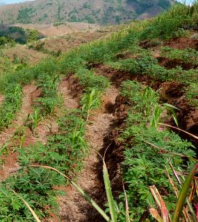 icone projet achevé Limonade en Haïti