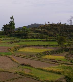 icone projet achevé Masraspatti en Inde