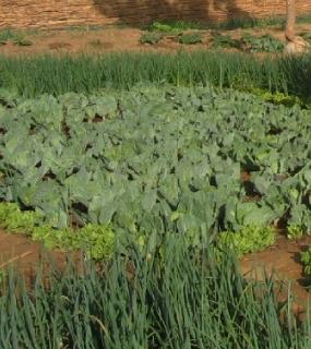 icone projet achevé au Niger