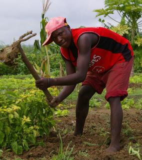 Icone projet achevé PUL en Angola