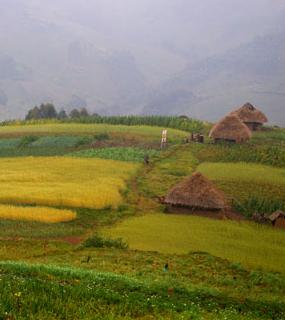 Projet Nord Kivu RD Congo