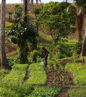 Projet PADAFAC-PASAOC RD Congo