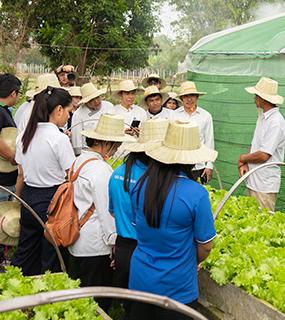 actu-2025-03-from-field-to-wok-cambodge-icone.jpg 