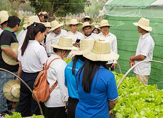 actu-2025-03-from-field-to-wok-cambodge-icone.jpg 